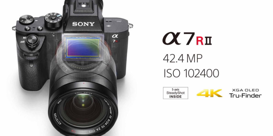 How many megapixels do professional photographers use?