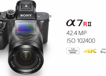 How many megapixels do professional photographers use?