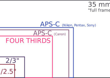 How much does a crop sensor crop?