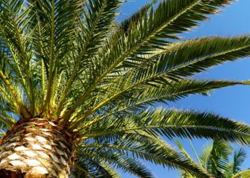 Is 2 MB high resolution?