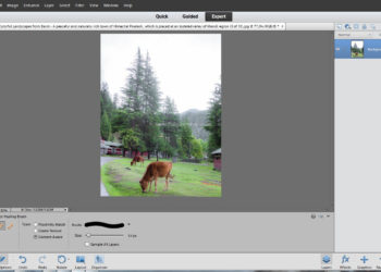 Is Adobe Photoshop Elements the same as Photoshop?