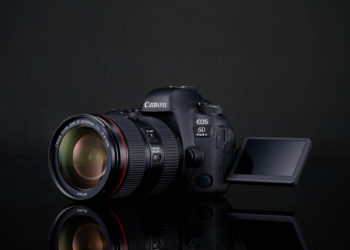 Is Canon 6D Mark II good for wildlife?