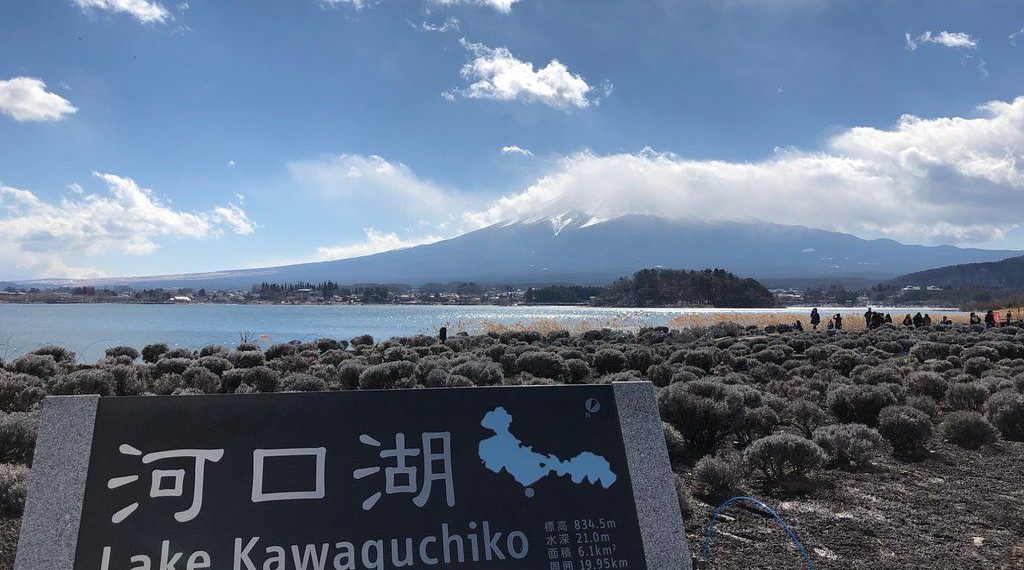 Is Lake kawaguchiko worth visiting?