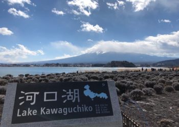 Is Lake kawaguchiko worth visiting?