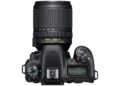 Is Nikon D7500 good for sports photography?