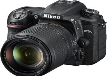Is Nikon D7500 professional camera?