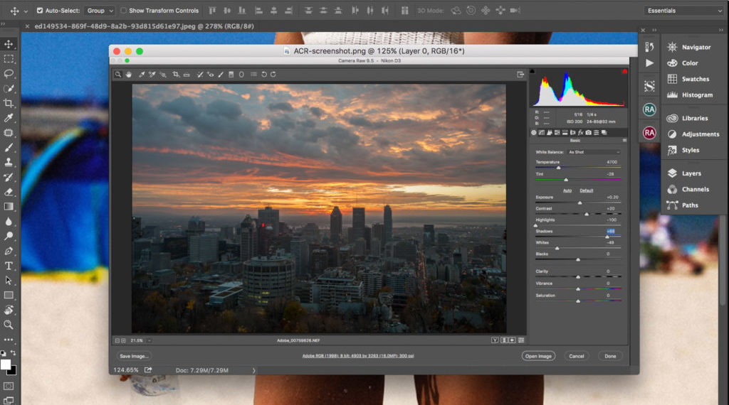 Is camera raw part of Photoshop?