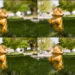 Is lower or higher aperture better?
