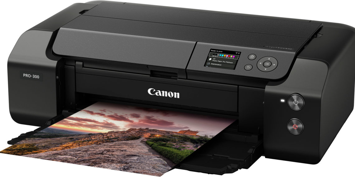 Is the Canon Pro 300 worth it?