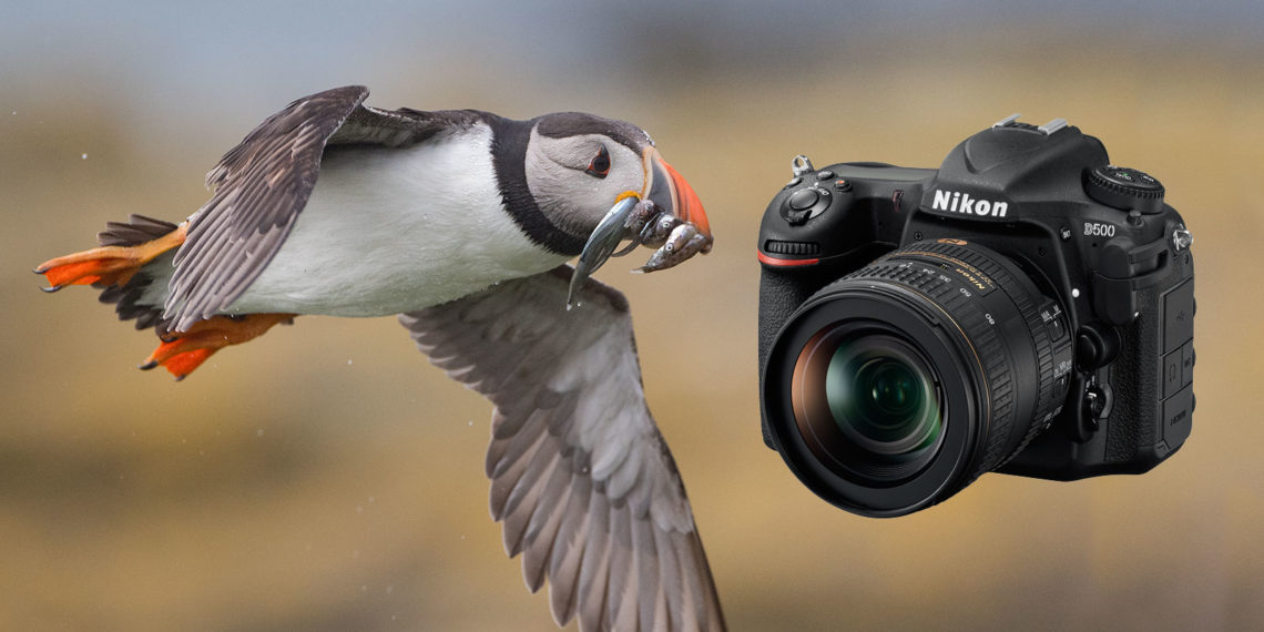 Is the Nikon D5000 good for wildlife photography?
