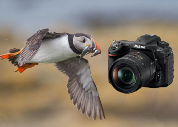 Is the Nikon D5000 good for wildlife photography?