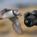 Is the Nikon D5000 good for wildlife photography?