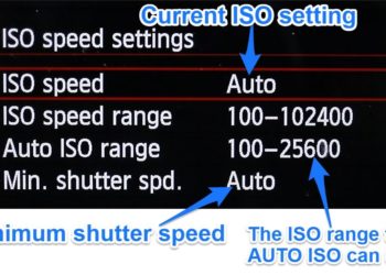 Should I set ISO to Auto?