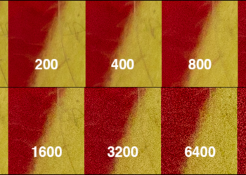 What ISO should I use?