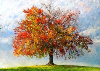 What app turns photos into paintings?