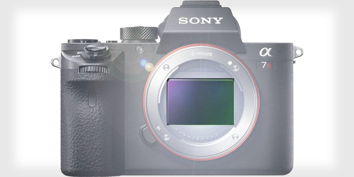 What cameras have the best sensors?
