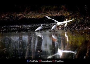 What can I shoot with a 70-300mm lens?