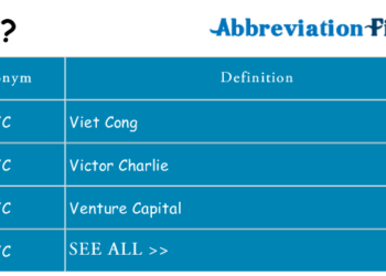 What does Di VC USD mean?