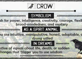 What does craw mean on canon?