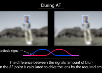 What does dual pixel RAW do?