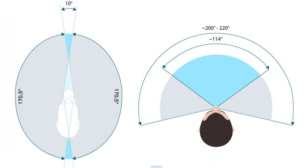 What field of view is 180?