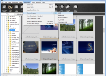 What is EOS Digital Solution Disk software?