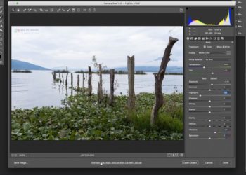 What is Photoshop raw format?