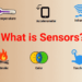 What is a 1.0 type sensor?