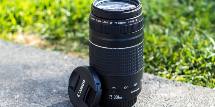 what-is-a-75-300mm-lens-good-for-big-photography-leading