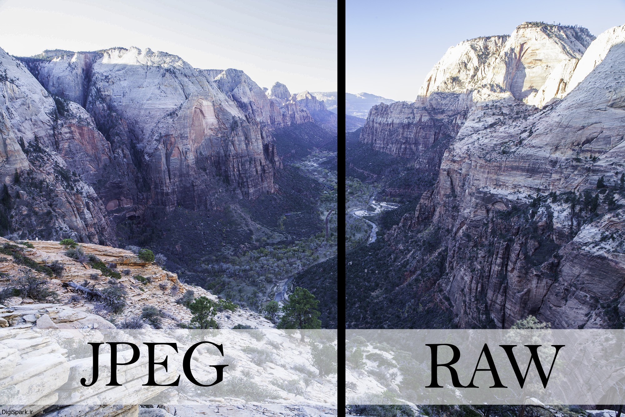 what-is-a-raw-image-vs-jpeg-big-photography-leading-photography