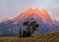 What is the best ISO for landscape photography?