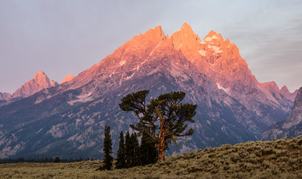 What is the best ISO for landscape photography?