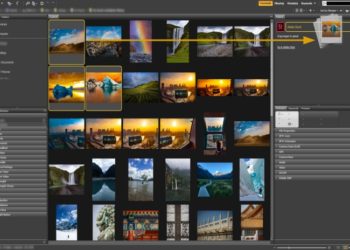 What is the best free photo organizer?