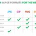 What is the best picture format for websites?