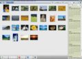 What is the best program to organize photos?