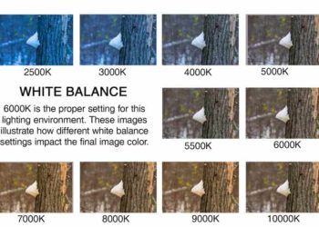 What is the best white balance setting?
