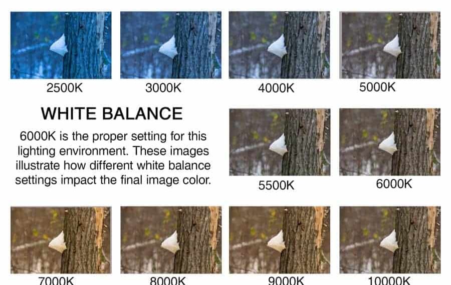 What is the best white balance setting?