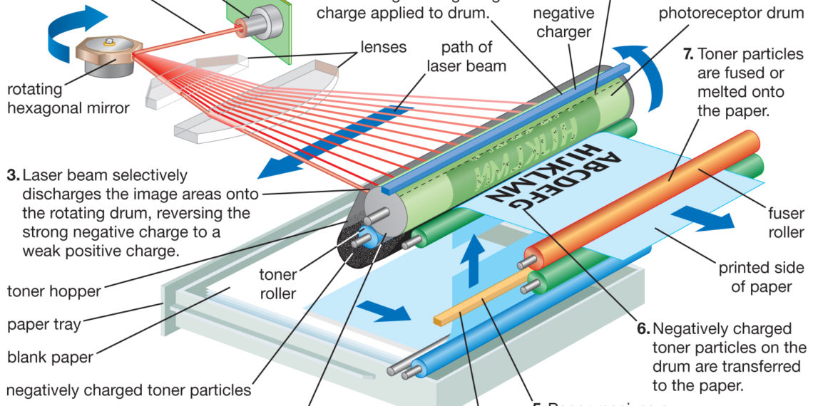 What is the function of the laser in a laser printer?