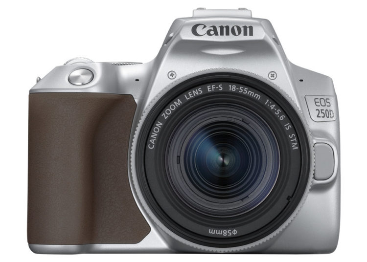 Why Are Image Previews Not Showing Big Photography Leading Why Are Image Previews Not Showing Big Photography Leading