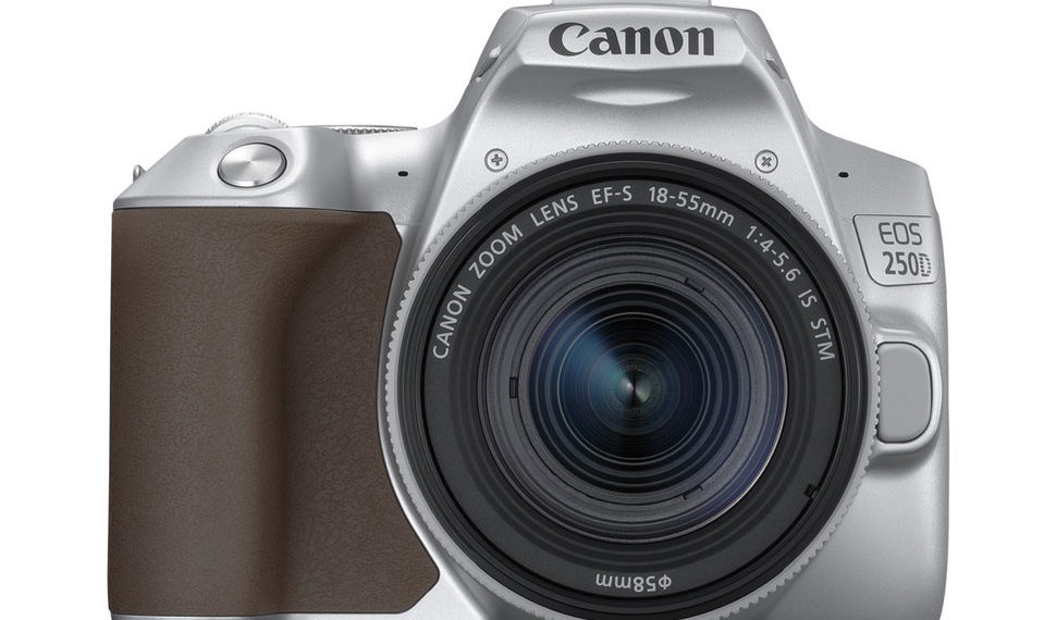 What is the lightest Nikon DSLR?