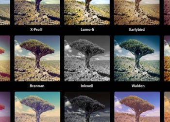 What is the most popular photo filter?