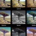 What is the most popular photo filter?