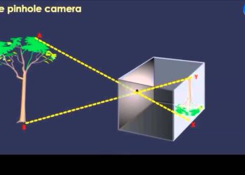 What is the principle of pinhole camera class 6?