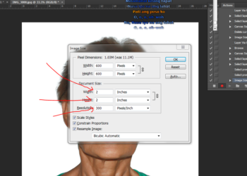 What is the width and height of 2x2 picture?
