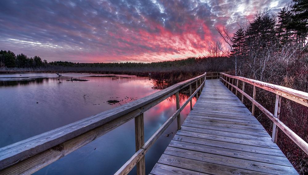 What makes a good photo composition?