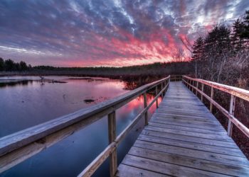 What makes a good photo composition?