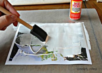 What photo paper do professionals use?