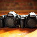 What's better Canon 5D or 7D?