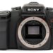 When did the Sony A100 come out?