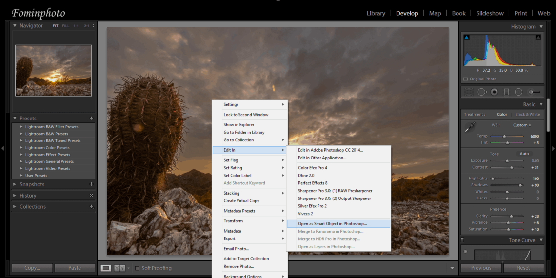 Where is Camera Raw in Lightroom?
